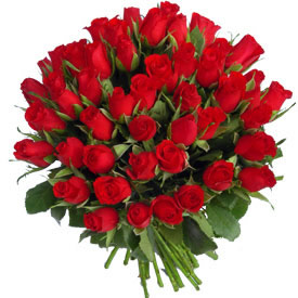 100%20red%20roses[1].jpg