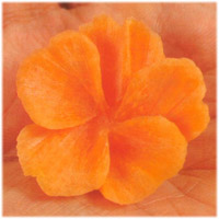 carrot_rose_variety_step4.jpg