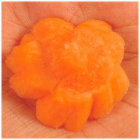 carrot_rose_variety_step5.jpg