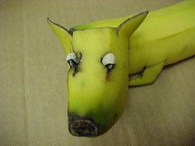 banana_dog_2.jpg