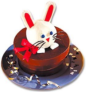 magicbunnycake_103.jpg